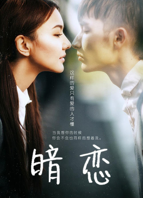 的里雅斯特音乐学院商业管理文凭证书